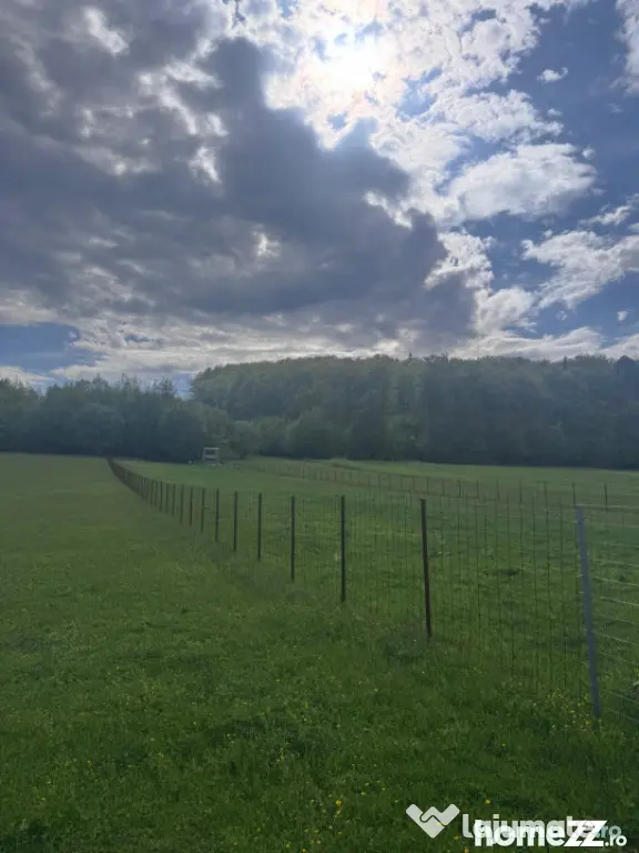 Teren intravilan, 2500mp, Voievodeasa, Marginea