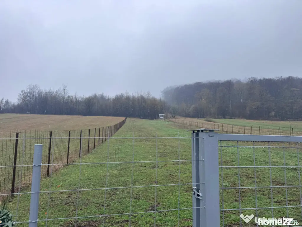 Teren intravilan, 2500mp, Voievodeasa, Marginea