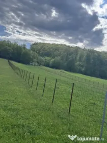 Teren intravilan, 2500mp, Voievodeasa, Marginea