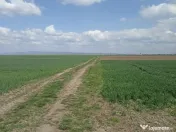 De vânzare teren extravilan lângă drumul DN11 