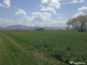 De vânzare teren extravilan lângă drumul DN11 