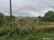 Teren 2.341 mp Uileacu de Munte front 26 ml la drum asfaltat 