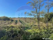 Teren 2.341 mp Uileacu de Munte front 26 ml la drum asfaltat 