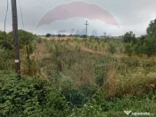 Teren 2.341 mp Uileacu de Munte front 26 ml la drum asfaltat 