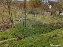 Teren 2.341 mp Uileacu de Munte front 26 ml la drum asfaltat