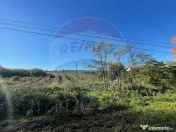 Teren 2.341 mp Uileacu de Munte front 26 ml la drum asfaltat 