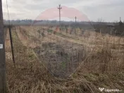 Teren 2.341 mp Uileacu de Munte front 26 ml la drum asfaltat 