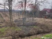 Teren 2.341 mp Uileacu de Munte front 26 ml la drum asfaltat 