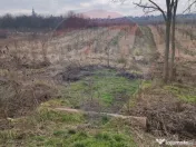 Teren 2.341 mp Uileacu de Munte front 26 ml la drum asfaltat 