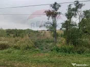 Teren 2.341 mp Uileacu de Munte front 26 ml la drum asfaltat 