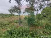 Teren 2.341 mp Uileacu de Munte front 26 ml la drum asfaltat 