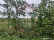 Teren 2.341 mp Uileacu de Munte front 26 ml la drum asfaltat 