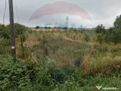 Teren 2.341 mp Uileacu de Munte front 26 ml la drum asfaltat 