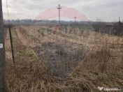 Teren 2.341 mp Uileacu de Munte front 26 ml la drum asfaltat 