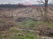 Teren 2.341 mp Uileacu de Munte front 26 ml la drum asfaltat 