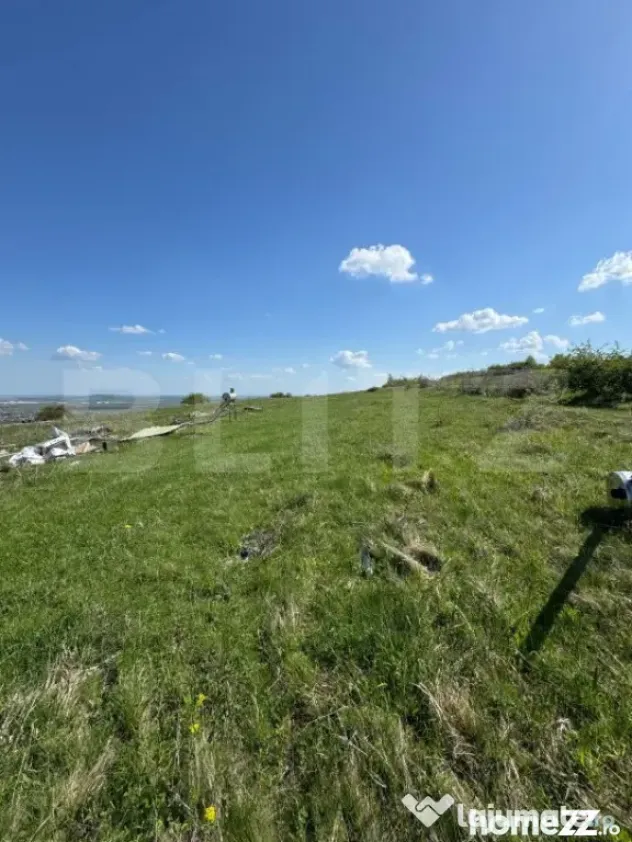 Cabana CHEILE TURZII, teren 8700 mp, priveliste superba - Mihai Viteazu (Cluj)