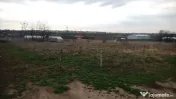 Teren intravilan Filesti 1000 mp ,deschidere 17 m 