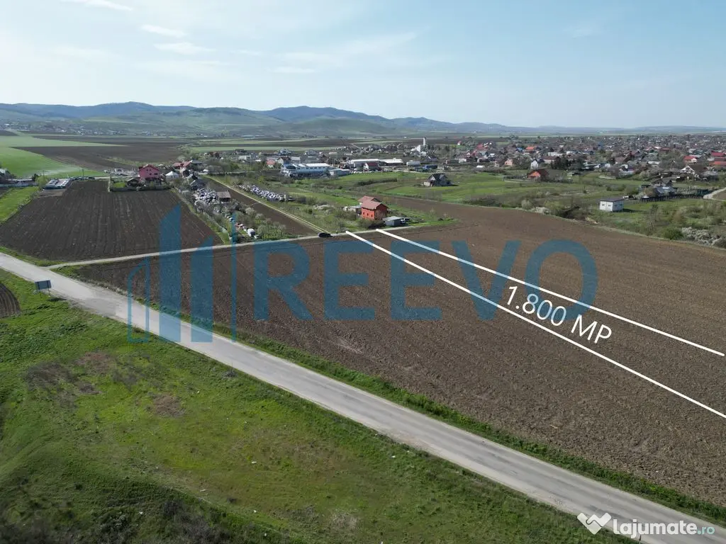 Teren de vânzare, Com. Nicolae Bălcescu, Jud. Bacău