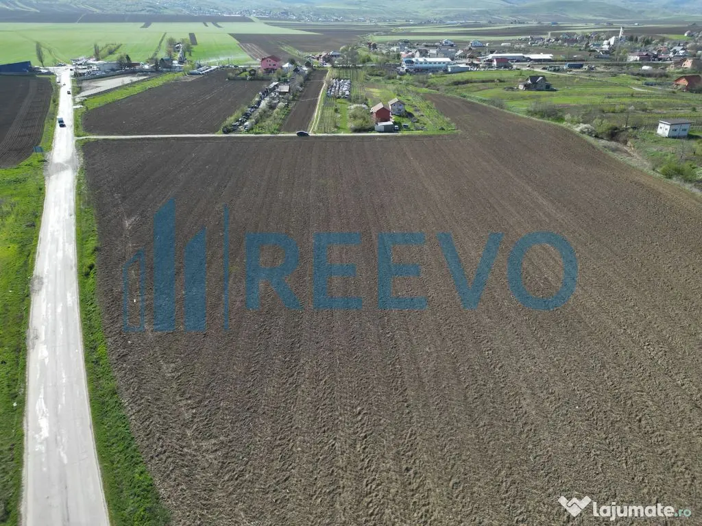 Teren de vânzare, Com. Nicolae Bălcescu, Jud. Bacău