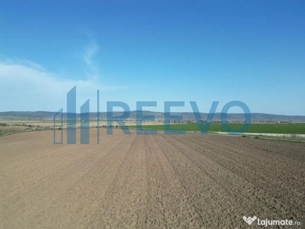Teren de vânzare, Com. Nicolae Bălcescu, Jud. Bacău
