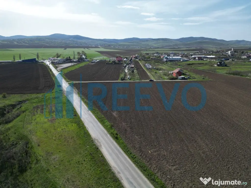 Teren de vânzare, Com. Nicolae Bălcescu, Jud. Bacău