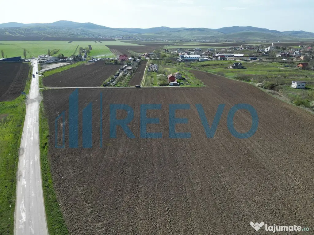 Teren de vânzare, Com. Nicolae Bălcescu, Jud. Bacău