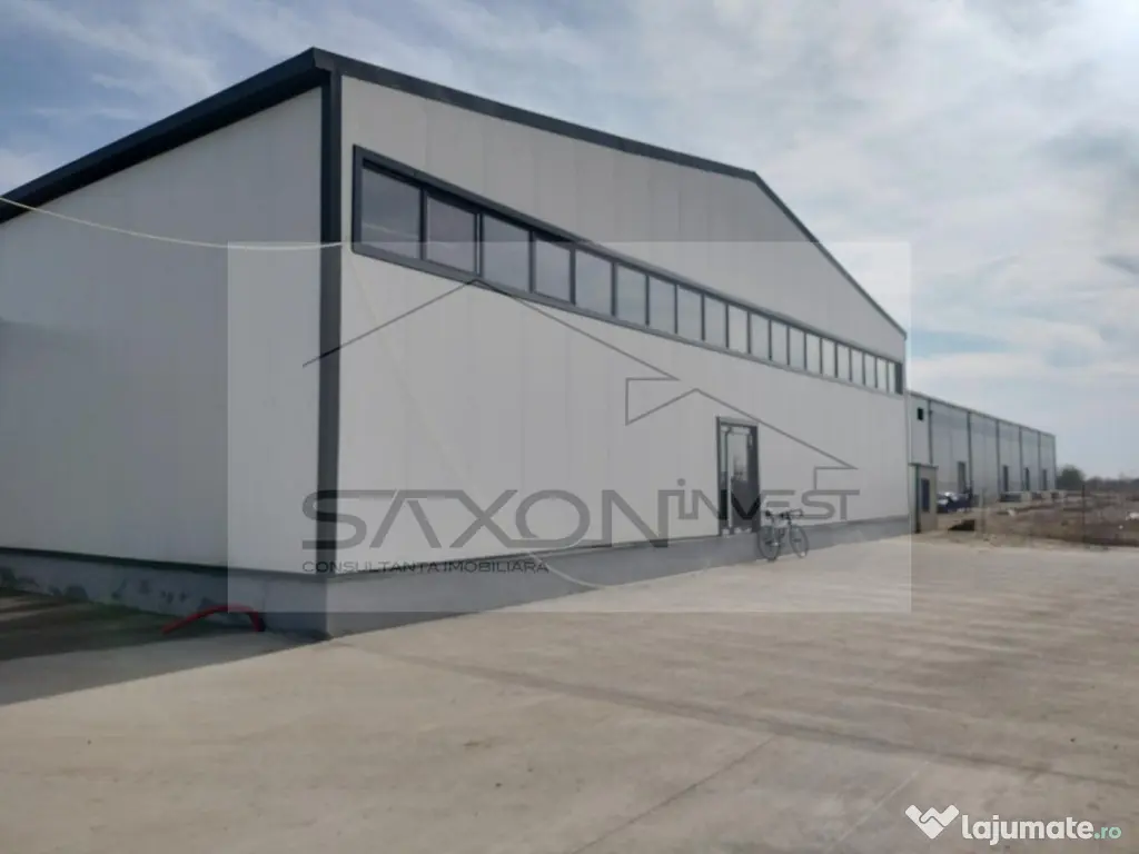 Hala depozitare, Theodor Pallady inchiriere sau vanzare