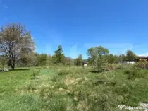 Teren de 30 ari de vânzare în Bistrița Bârgăului – zo