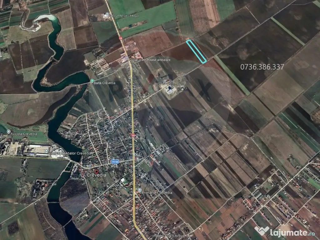Teren intravilan 11368 mp, Crevedia / Calea Crevedia Noua