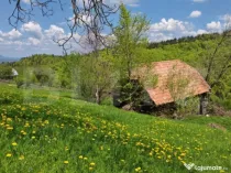 Teren intravilan 3400 mp, in Balaban - Simon, Bran - Brasov