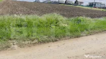 Teren intravilan de vanzare, 2500 mp, zona Miroslava