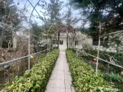 Negru Voda casa cu teren de 1200 mp, constructie 2008 