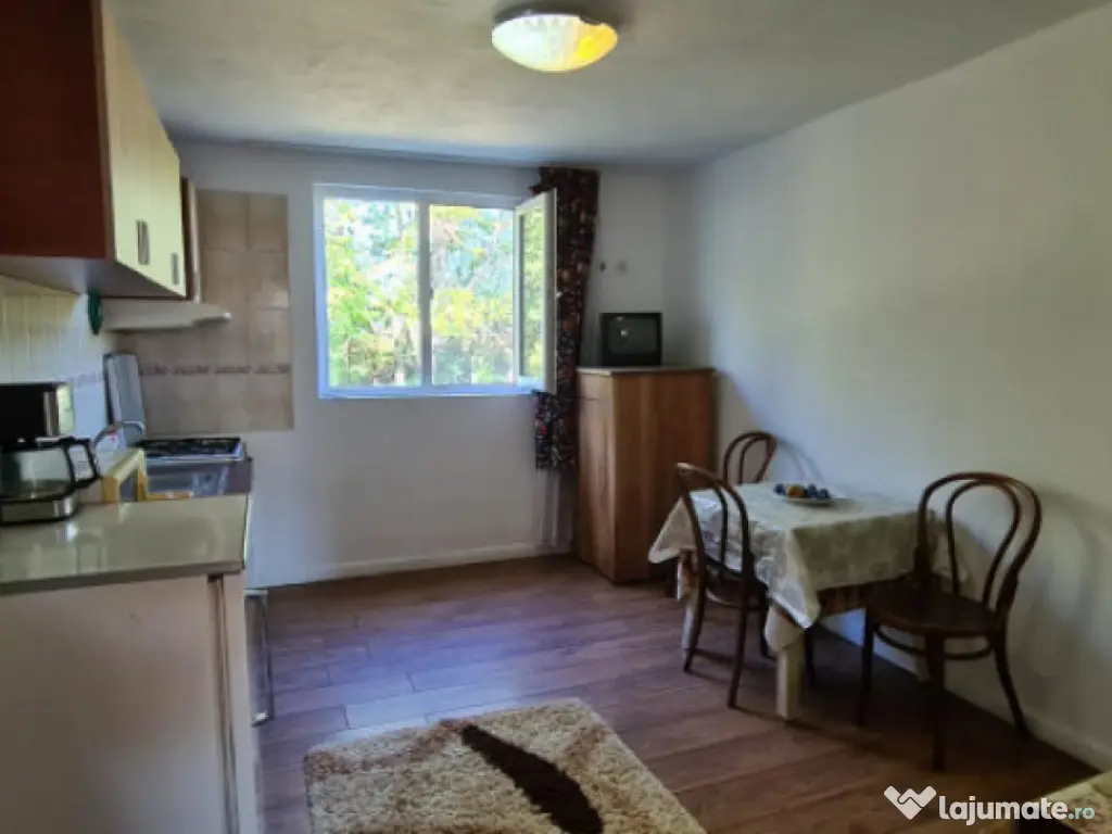 Vila Ialomita -Livedea lac