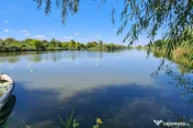 Vila Ialomita -Livedea lac