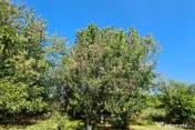 Vila Ialomita -Livedea lac