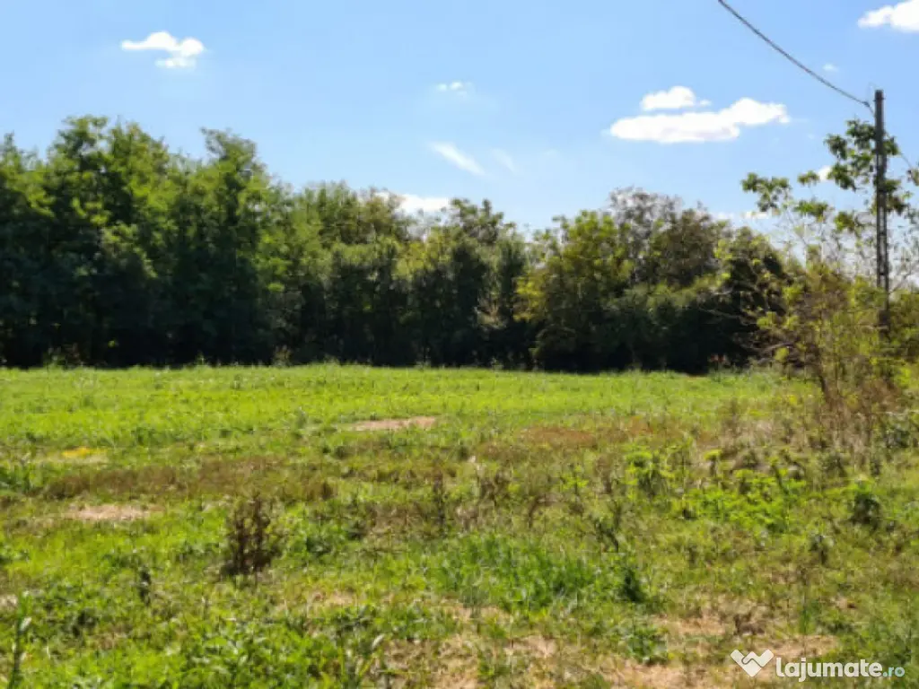 Vila Ialomita -Livedea lac