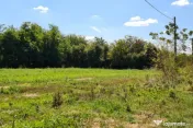 Vila Ialomita -Livedea lac