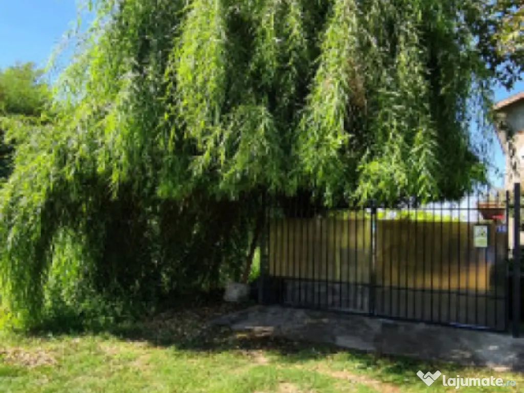 Vila Ialomita -Livedea lac