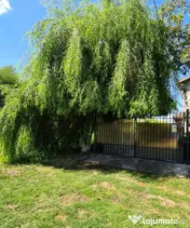 Vila Ialomita -Livedea lac