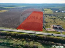 Teren 29220 mp Pecica,DN7, langa autostrada- Ideal pentru...