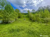 Teren intravilan Traisteni 839 mp, toate avizele 