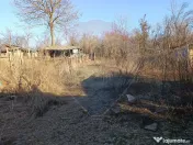 Casă / Vilă cu 3 camere de vânzare 