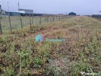 Teren intravilan 2700 mp Dumbraveni