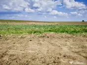 Teren in Butimanu cu Deschidere la Lac-Jud. Dambovita 