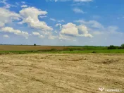 Teren in Butimanu cu Deschidere la Lac-Jud. Dambovita 