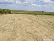 Teren in Butimanu cu Deschidere la Lac-Jud. Dambovita 