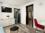 VILA INTERBELICA DE 550 MP-FOISORUL DE FOC 