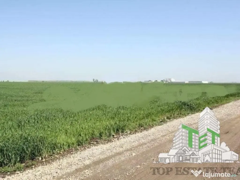 Teren de vazare pt investitie, Sinesti, 4 eur / mp, 21000mp