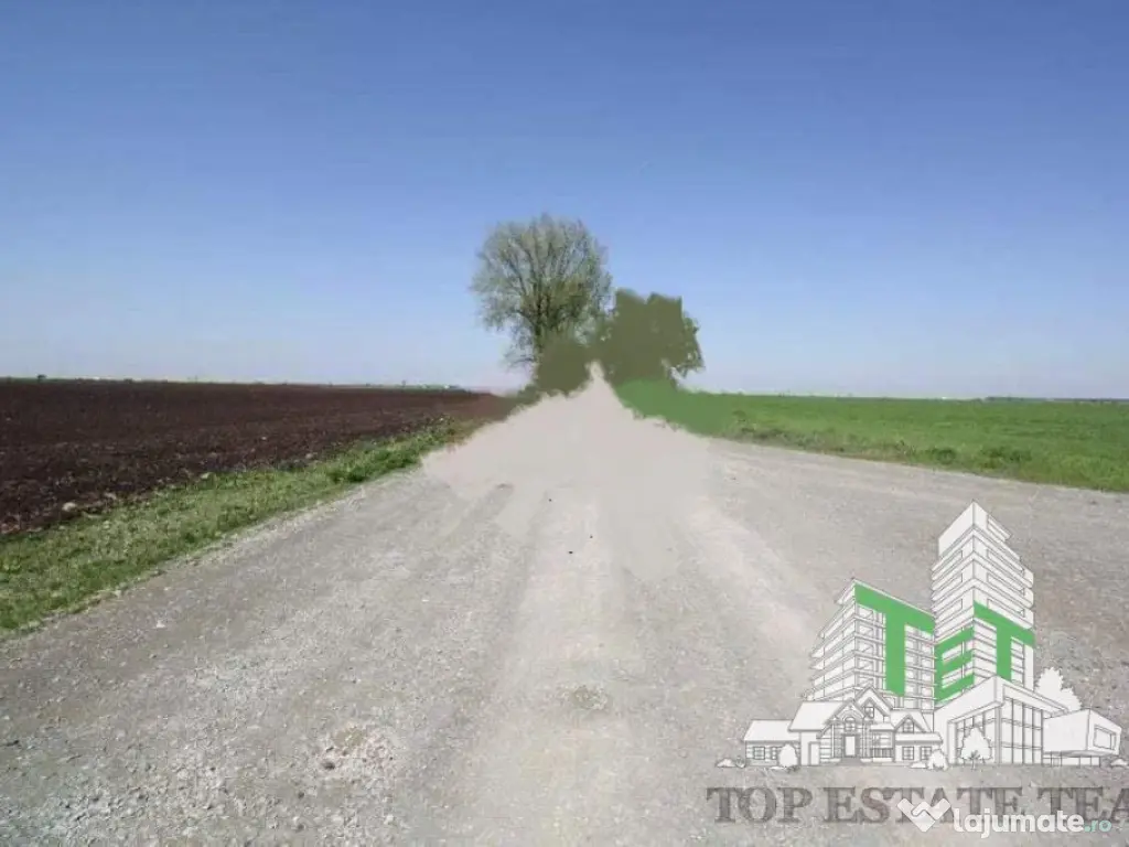 Teren de vazare pt investitie, Sinesti, 4 eur / mp, 21000mp