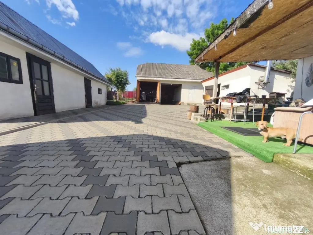 Casa 4 camere, 6000mp teren, zona centrala, Negostina, Siret - Negostina (Suceava)